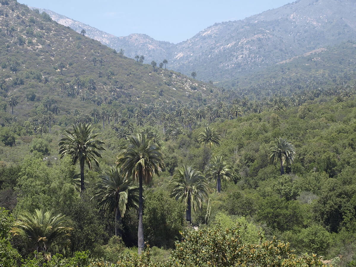 La Campana Peñuelas Biosphere Reserve Lac Geo